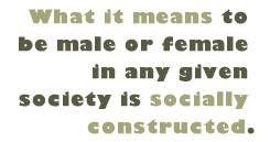 Pull Quote: What it means to be male or female in any given society is socially constructed.