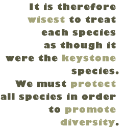 It is therefore wisest to treat each species as though it were the keystone species. We must protect all species in order to promote diversity.