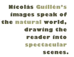 Pull Quote: Nicolas Guillen's images speak of the natural world, drawing the reader into spectacular scenes.